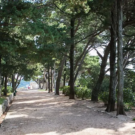 公寓 Heart Of 杜布罗夫尼克